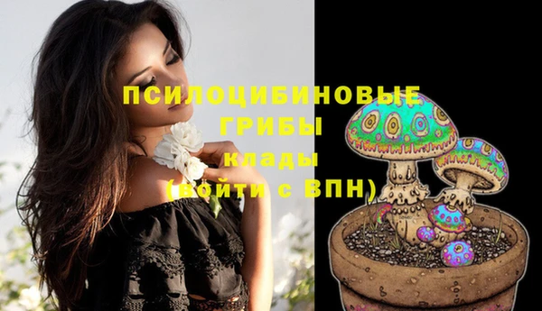 гашик Нефтегорск