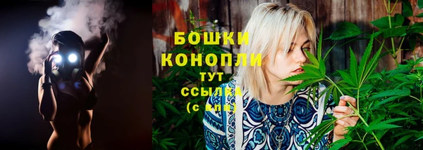 шишки Нефтекумск