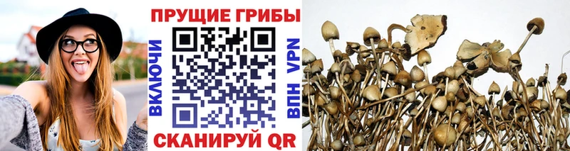 Галлюциногенные грибы ЛСД Наволоки