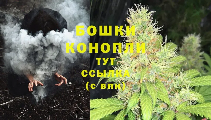 магазин продажи наркотиков  Наволоки  Канабис White Widow 